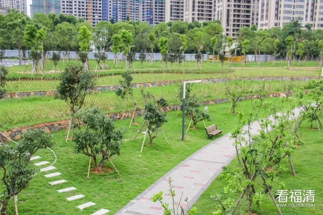 福清市湿地公园预计下月开放,就在融侨锦江·玖里门口