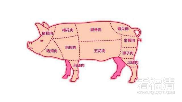 卖猪肉30年大叔,教您猪肉11个部位划分,并教您如何烹饪 .