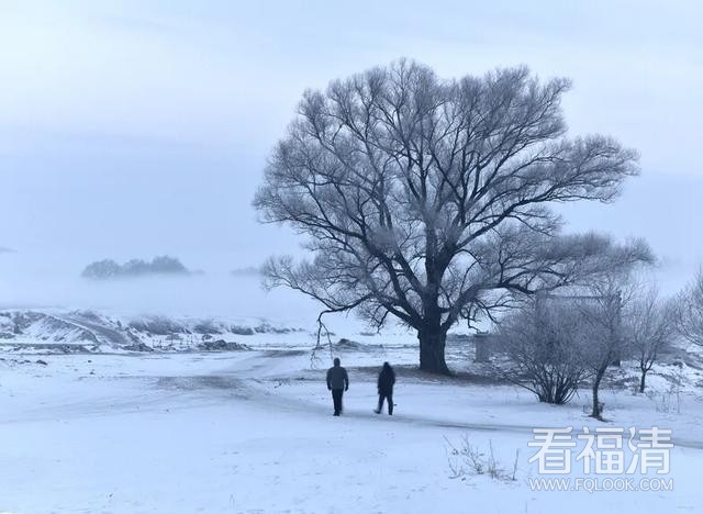 东北最美雪景在三个地方——一岛一山一村庄