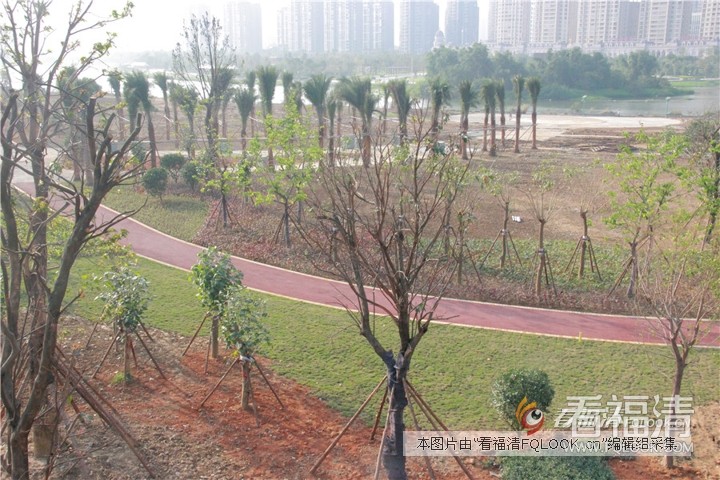 nem2p3chn3i5060.jpg