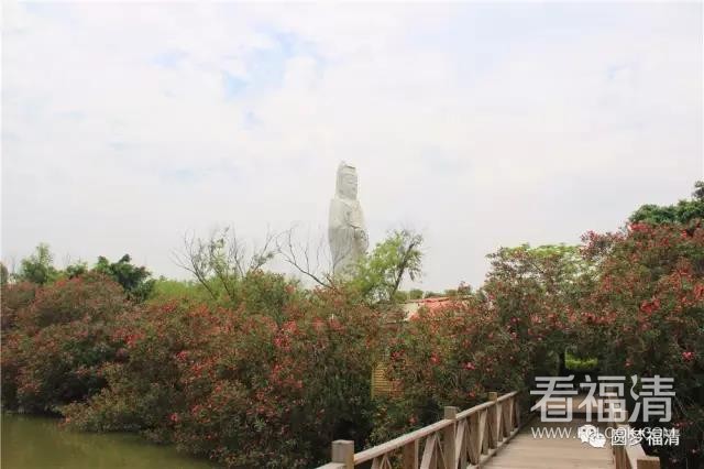 hcm42lgksh013811.jpg