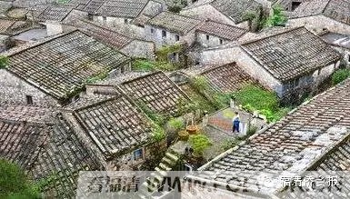 1tupicqtvdc21855.jpg