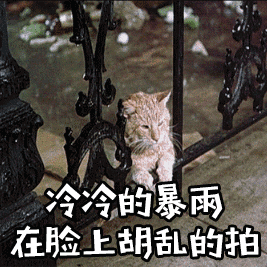 ch1xbsdritj21171.gif
