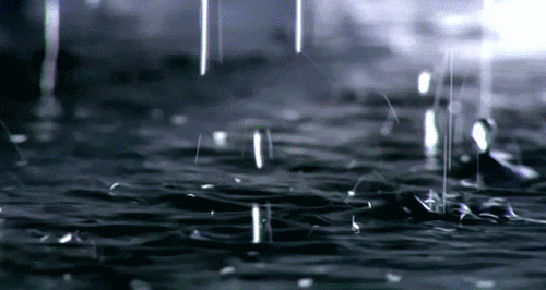 fdio0e5bllf21097.gif