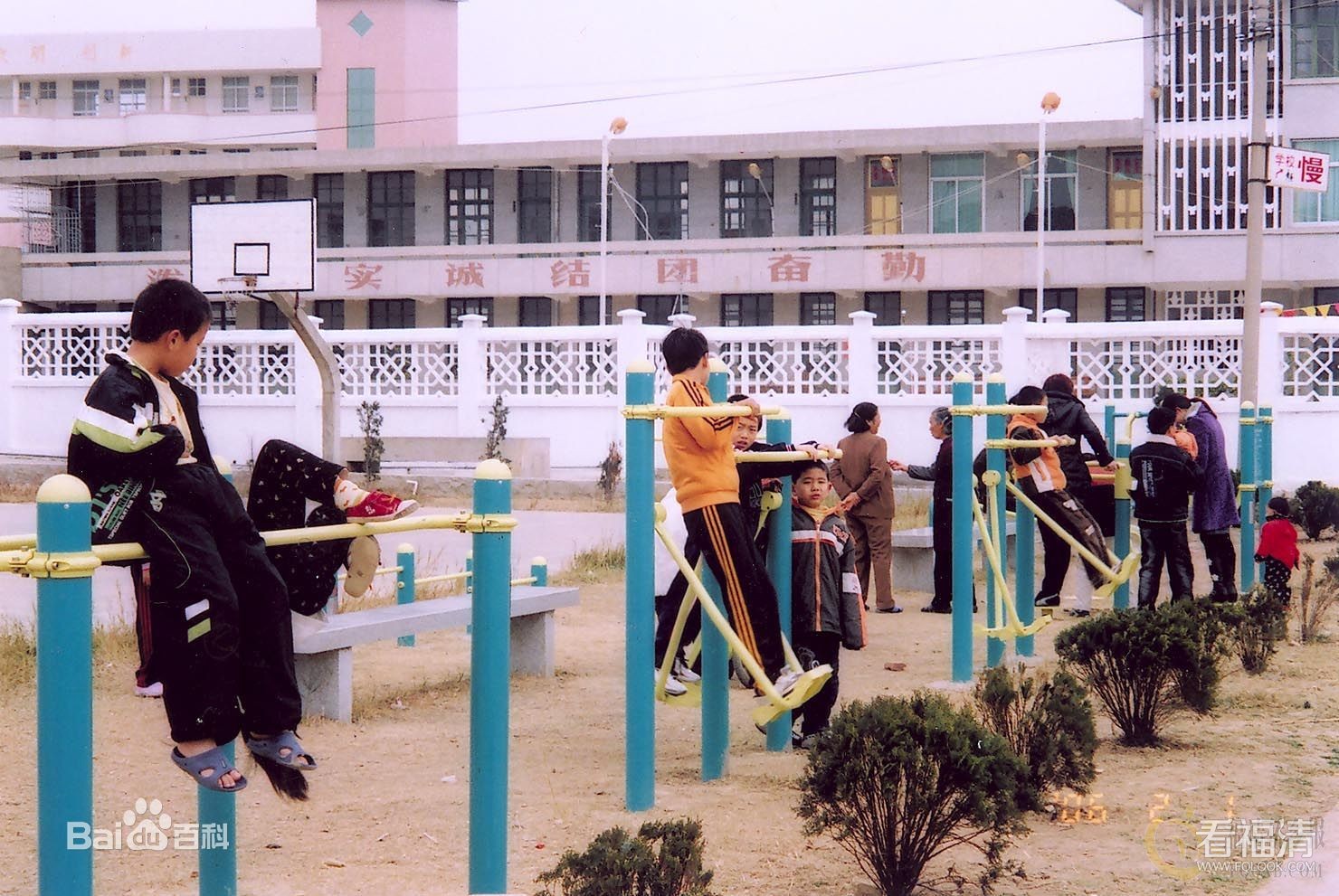 554q4u35zdm20095.jpg