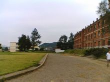 wmrzygn4cqr20059.jpg