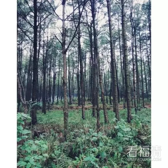 d1o10iweqjx19509.jpg