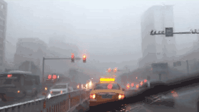 rx0jh4qm41019071.gif