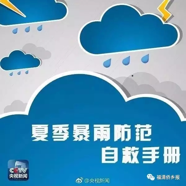 41jwyeq1vdw19026.jpg