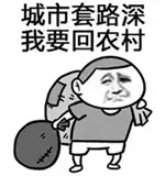 wbyqvlpjigt18347.jpg
