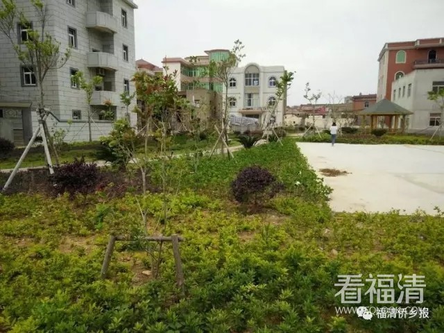ymlhcolbdtr18111.jpg