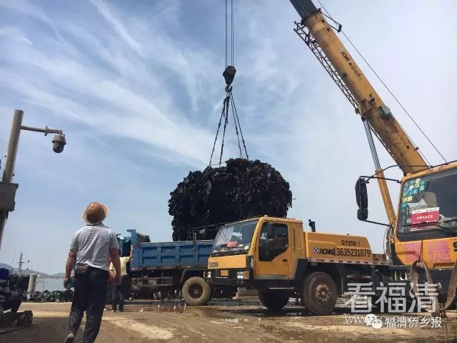 vcy33xneu3517877.jpg