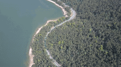 t1l1cr1bpic17630.gif