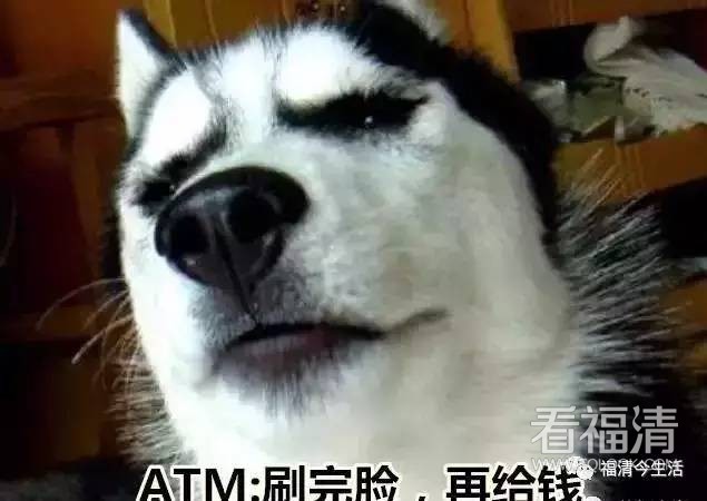 wu3pqt2qfzh16867.jpg