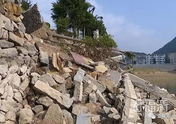 r5knfaocy0r12654.jpg