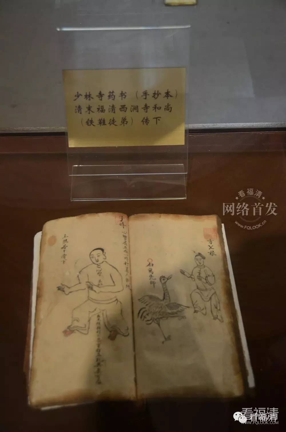 iu4uppl4ffg9637.jpg