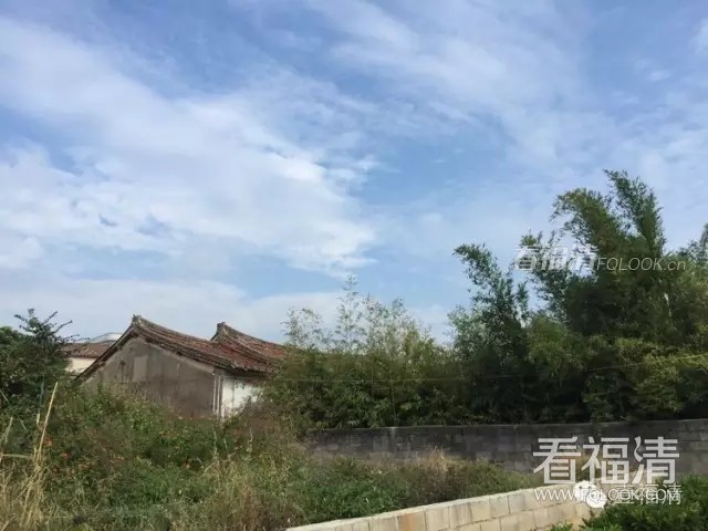x0hlcf5cgje19348.jpg