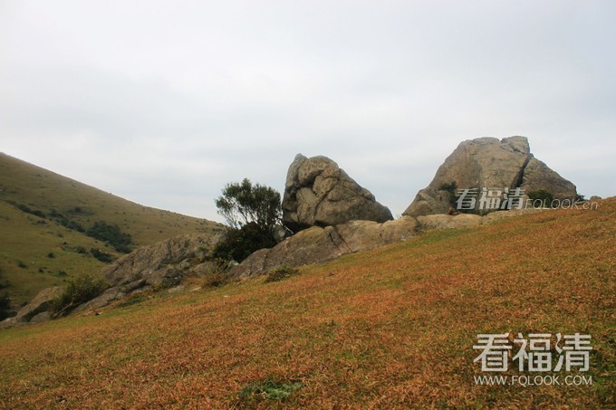 3sqogx254l019048.jpg