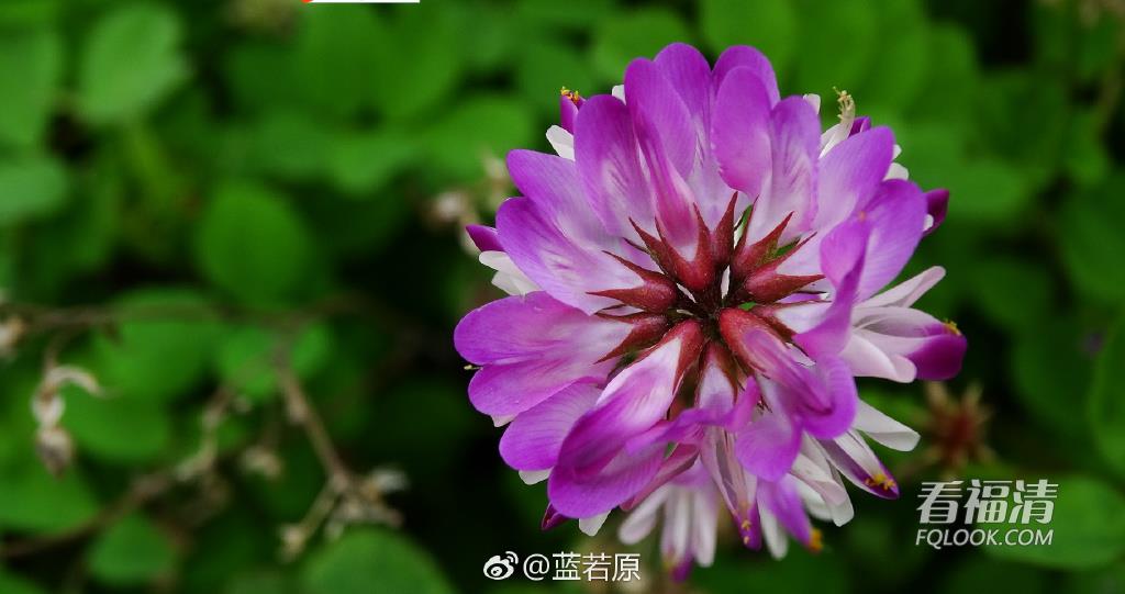 3xh0ejpgwhi18651.jpg