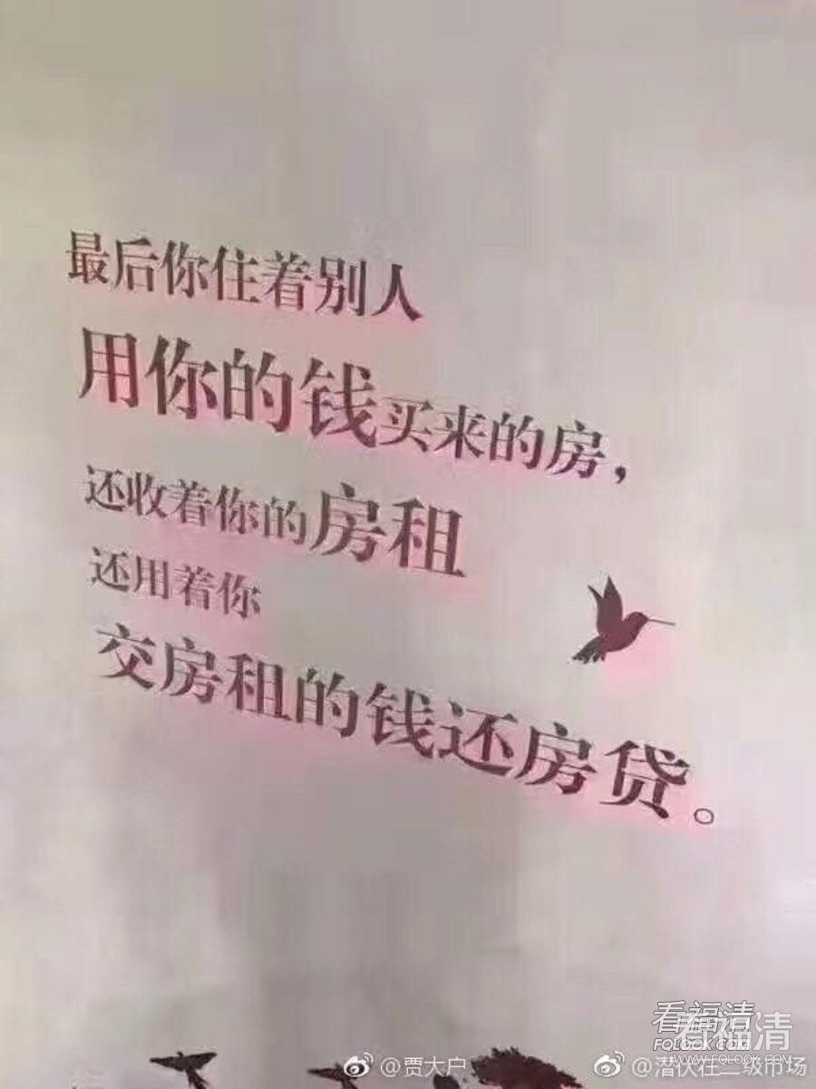 33oam4av3kz18283.jpg