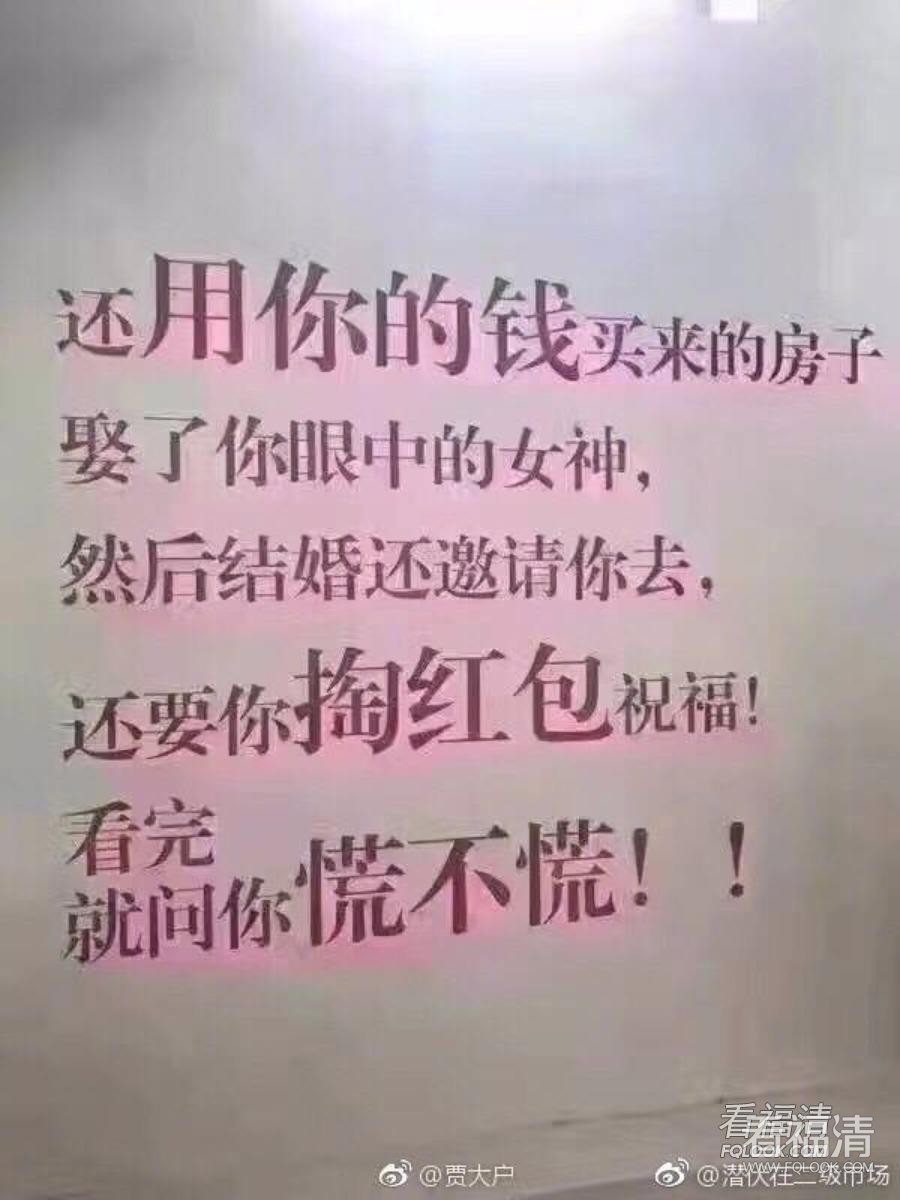 lcqhgx2nvt218282.jpg