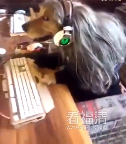 gbqkpeer2o317361.png