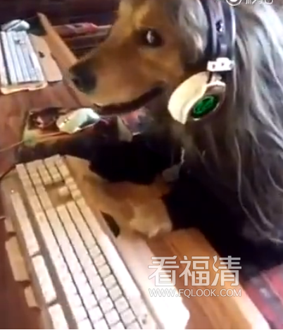 un5o3noqi1k17363.png