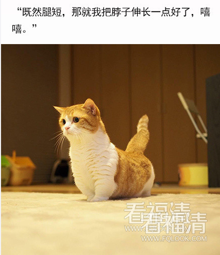 swfpo0dmbeh17015.png