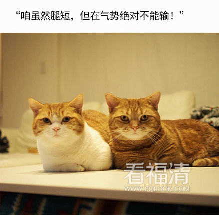 efwa1rsqkwu17010.png