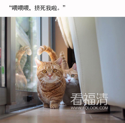 51oh10yjou017011.png
