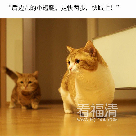 3hqarvzpjl417017.png