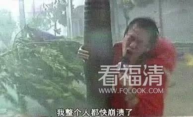 bs3zcxma4u123806.jpg