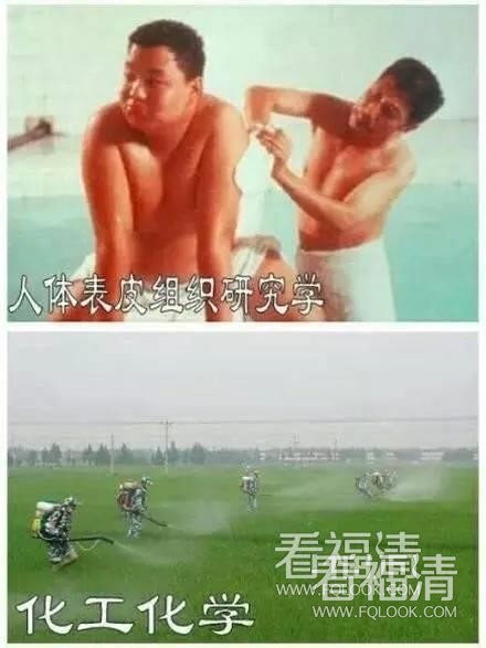 fapdb5em05z16647.jpg