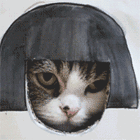 enl41m2smbq23206.gif