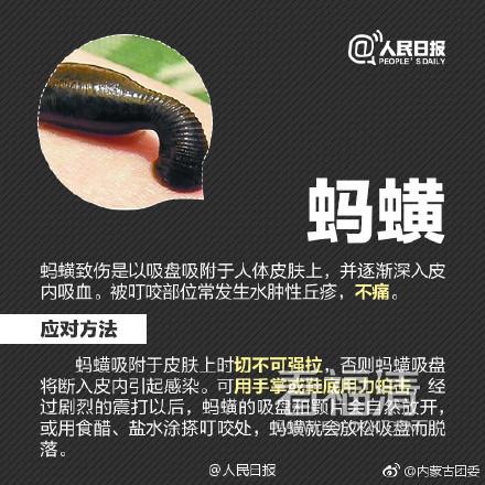 bj50m1afwrg16431.jpg