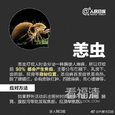 a0co2a1yjus16432.jpg