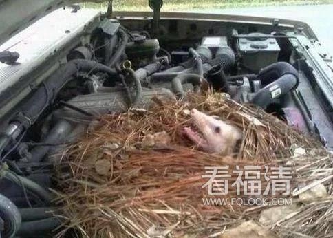 54ozqutv4pm20116.jpg
