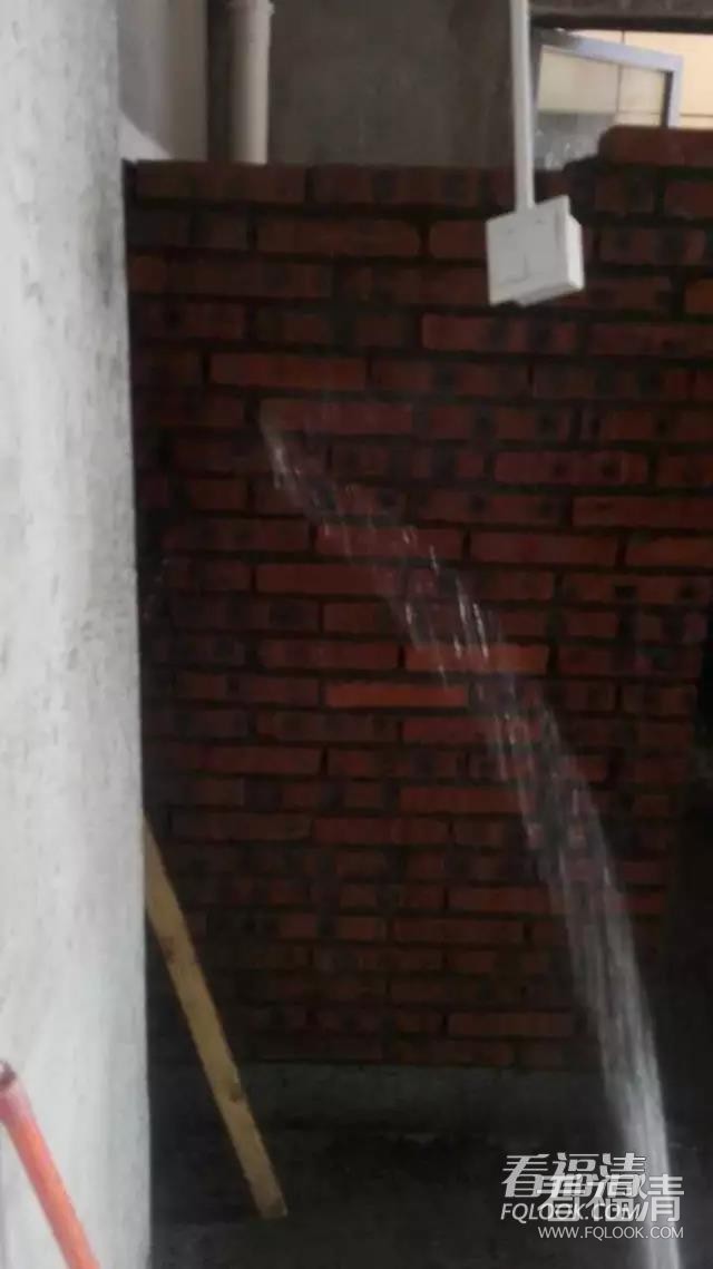 4ebsscie4h337262.jpg