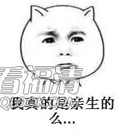 nqvsdwp5ild36671.jpg