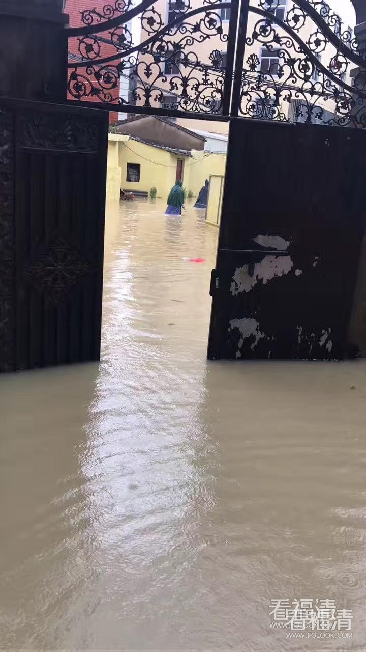 za5wjvdo11u14171.jpg