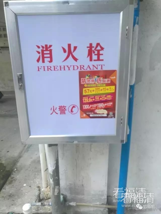 iyjgatexusu14135.jpg