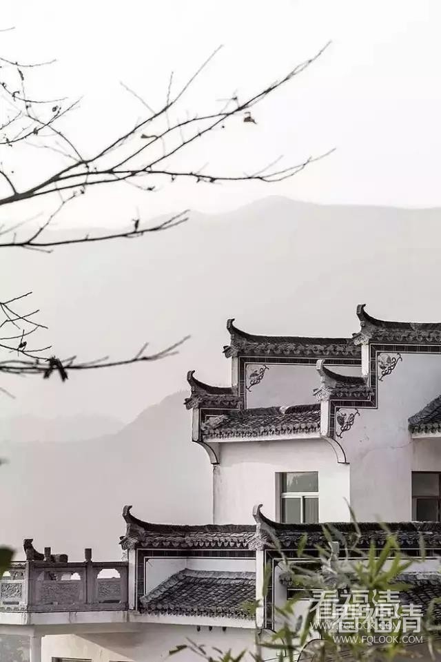 r041egjvymf29559.jpg