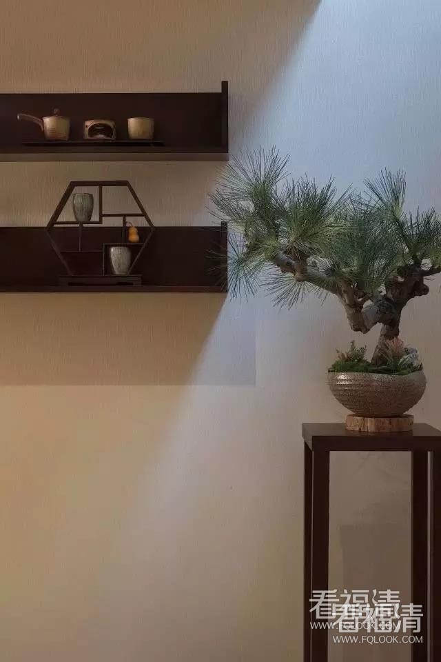 lbkd0oix3yq29333.jpg