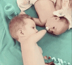 kh5irsbupyo12953.gif