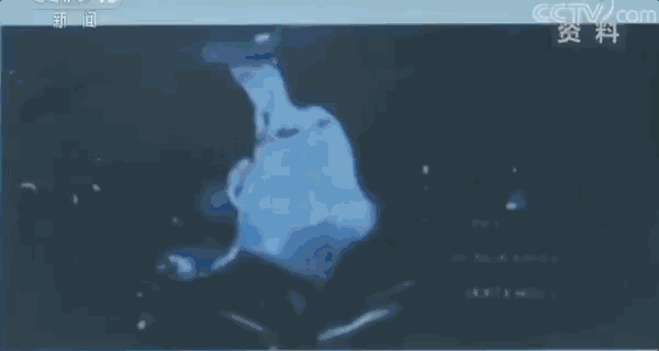 5wzakfpblqu12399.gif