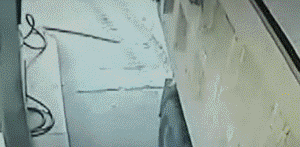 fioxq5f2zx511794.gif