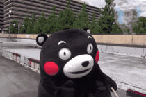 2ql5b0b11ia11004.gif