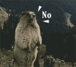 buwxhzb2wlu11008.gif