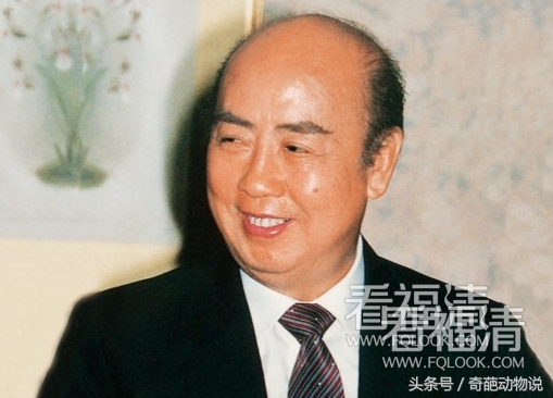 n54qngkebzz10845.png