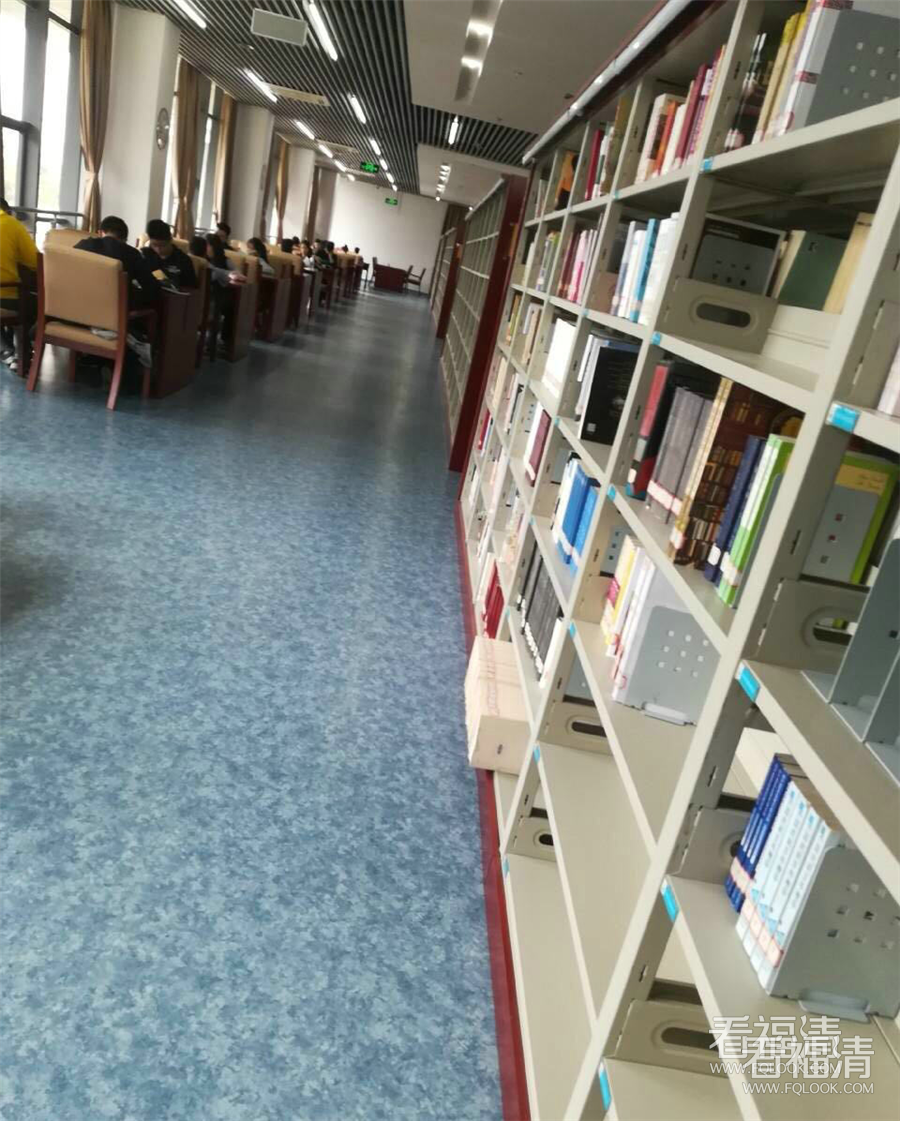 a1isqv5mykz10473.jpg